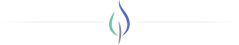 divider-2